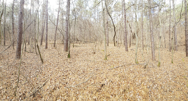 계남면 침곡리 요전마을 서쪽 불당골 내 절두평전으로 백화산이 안산을 이룬다.