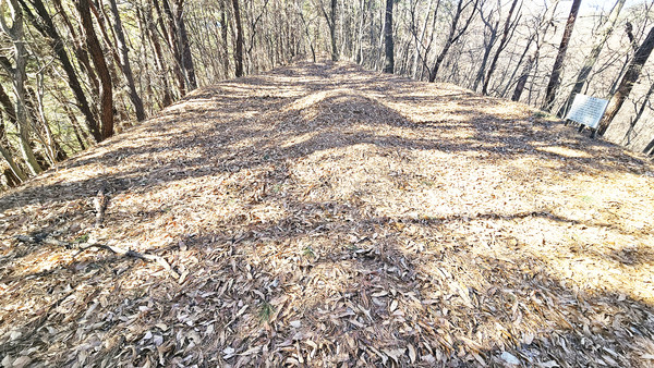 태봉 정상부로 인위적으로 잘 다듬어 평탄한 지형을 이룬다.
